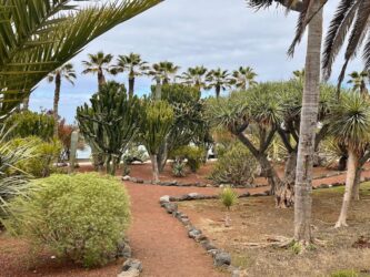 Canary Islands, Tenerife, Puerto de la Cruz - Parque de Playa Jardín