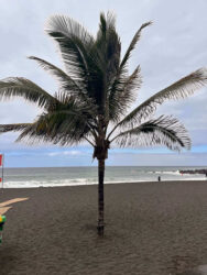 Canary Islands, Tenerife, Puerto de la Cruz - Evening beach