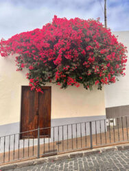Canary Islands, Tenerife, Garachico - The town