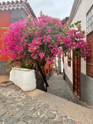 Canary Islands, Tenerife, Garachico - The town