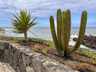 Canary Islands, Tenerife, Puerto de la Cruz - Parque de Playa Jardín