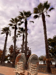 Canary Islands, Tenerife, Puerto de la Cruz - Parque de Playa Jardín