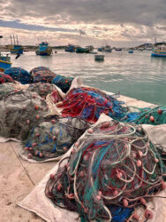 Malta, Marsaxlokk - The harbour