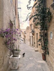 Malta, Vittoriosa - Old Town