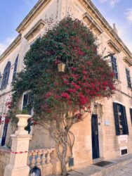 Malta, Mdina - Old City