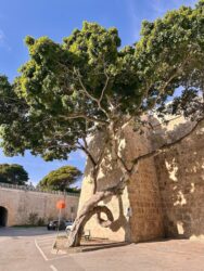 Malta, Mdina - Old City