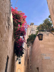 Malta, Mdina - Old City