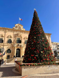 Malta, Valletta - Christmas Tree