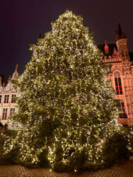 Belgium, Bruges - Christmas tree