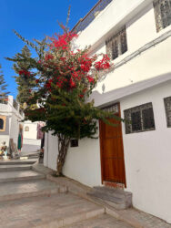 Morocco, Rabat - Oudayas Kasbah