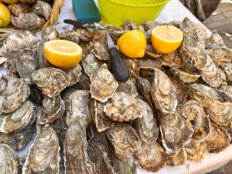 Morocco, Rabat - Oysters