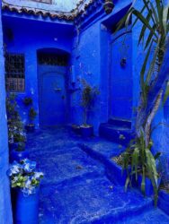 Morocco, Chefchaouen - Blue city
