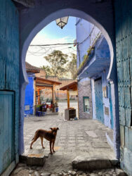Morocco, Chefchaouen - Blue city