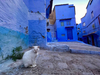 Morocco, Chefchaouen - Blue city
