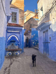 Morocco, Chefchaouen - Blue city