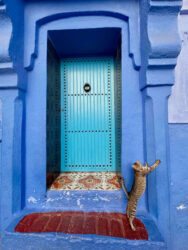 Morocco, Chefchaouen - Door