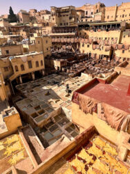 Morocco, Fes - Chouara Tannery