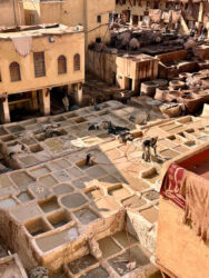 Morocco, Fes - Chouara Tannery