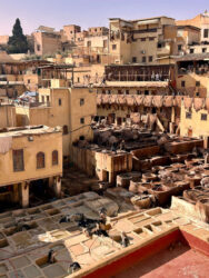 Morocco, Fes - Chouara Tannery