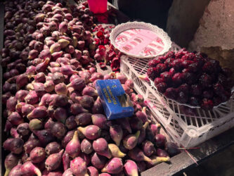 Morocco, Fes - Prickly pear