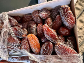 Morocco, Erfoud - Dattes