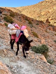 Morocco, Todgha Gorge - On the hike