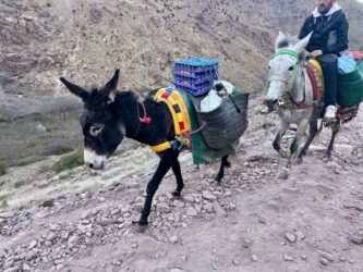 Morocco, Atlas Mountains - Toubkal National Park