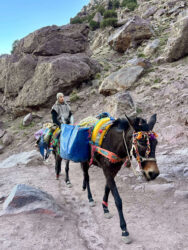Morocco, Atlas Mountains - Toubkal National Park