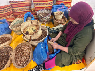 Morocco, Essaouira - Afous Argan