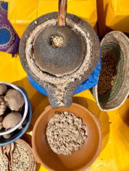Morocco, Essaouira - Afous Argan