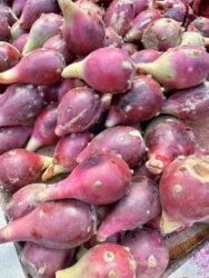 Morocco, Marrakech - Prickly pear