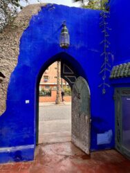 Morocco, Marrakech - Jardin Majorelle