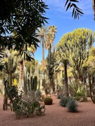 Morocco, Marrakech - Jardin Majorelle