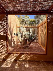 Morocco, Marrakech - Jardin Majorelle