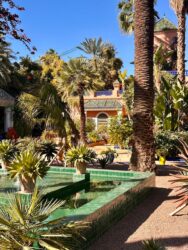 Morocco, Marrakech - Jardin Majorelle