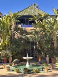 Morocco, Marrakech - Jardin Majorelle