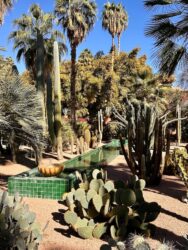 Morocco, Marrakech - Jardin Majorelle