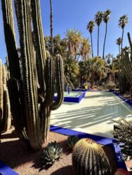 Morocco, Marrakech - Jardin Majorelle
