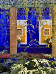 Morocco, Marrakech - Jardin Majorelle