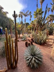 Morocco, Marrakech - Jardin Majorelle