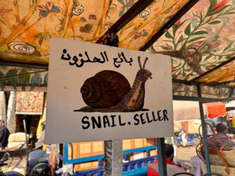 Morocco, Marrakech - Snail seller