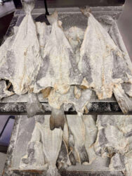 Portugal, Lagos - Bacalhau, dried salted cod
