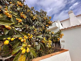 Portugal, Burgau - Architecture