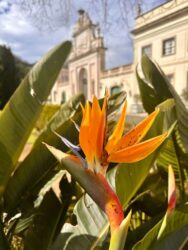 Portugal, Sintra - Palacio de Seteais