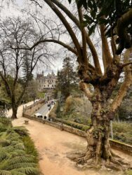 Portugal, Sintra - Quinta da Regaleira