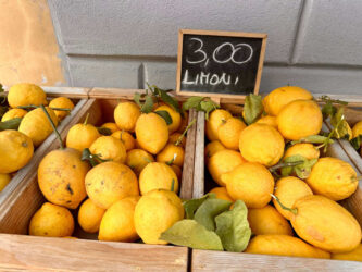 Italy, Sorrento - Lemons