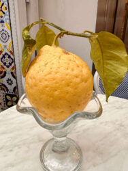 Italy, Amalfi - Lemon