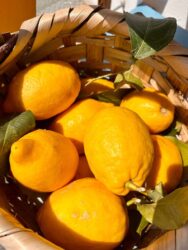 Italy, Amalfi - Lemons