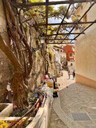 Italy, Positano - Old town