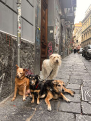 Italy, Naples - The historic center (Centro Storico)